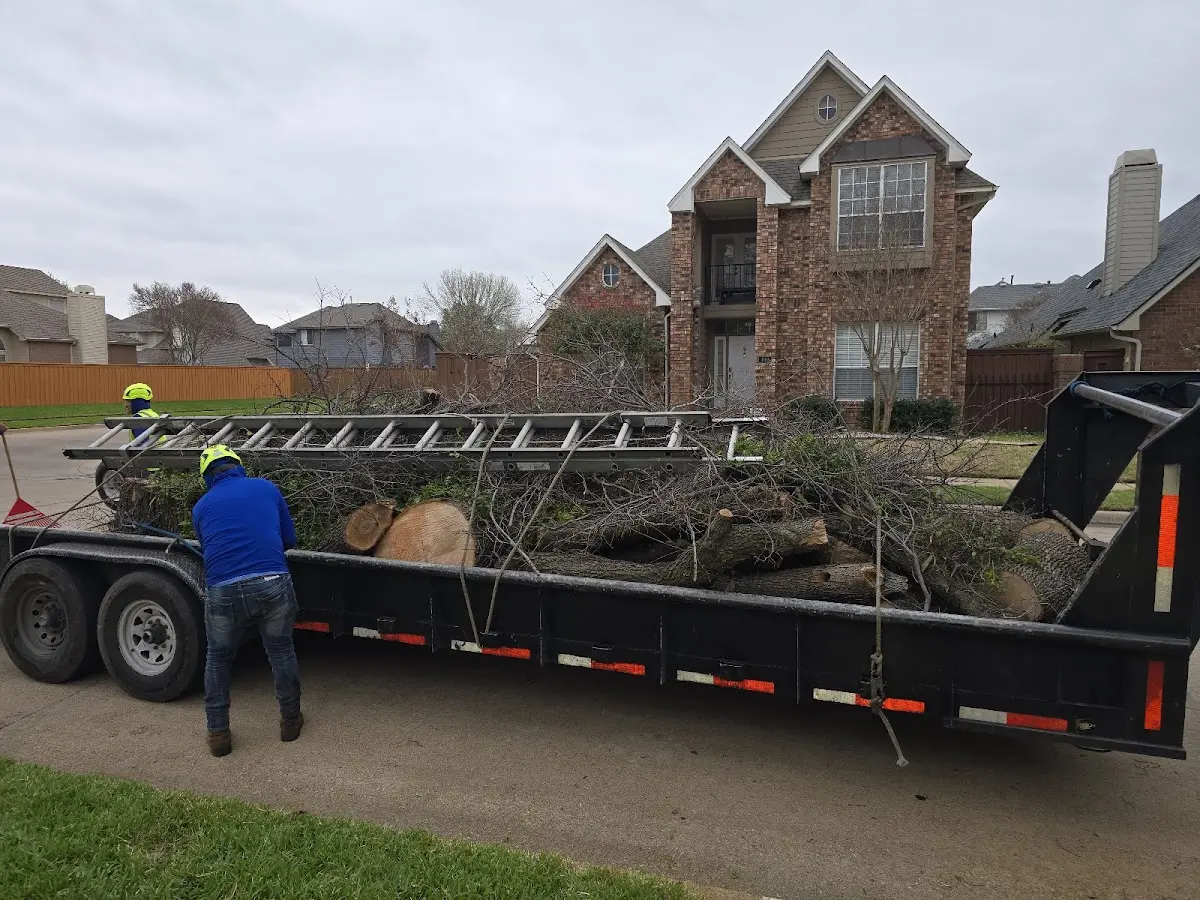 Expert Tree Fertilization with proper safety equipment in Kiowa